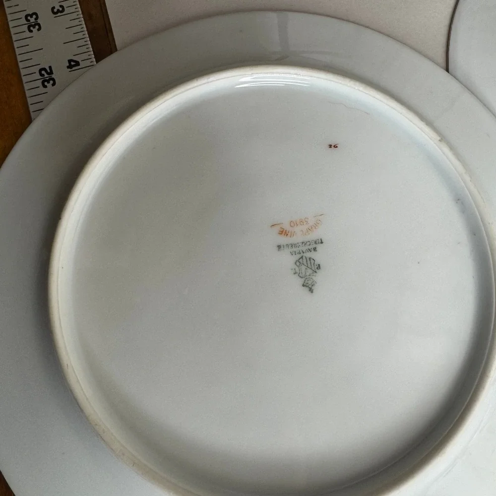 PT Bavaria Tirschenreuth Grape Vine 3910‎ Salad Plates Gold Trim Set of 4